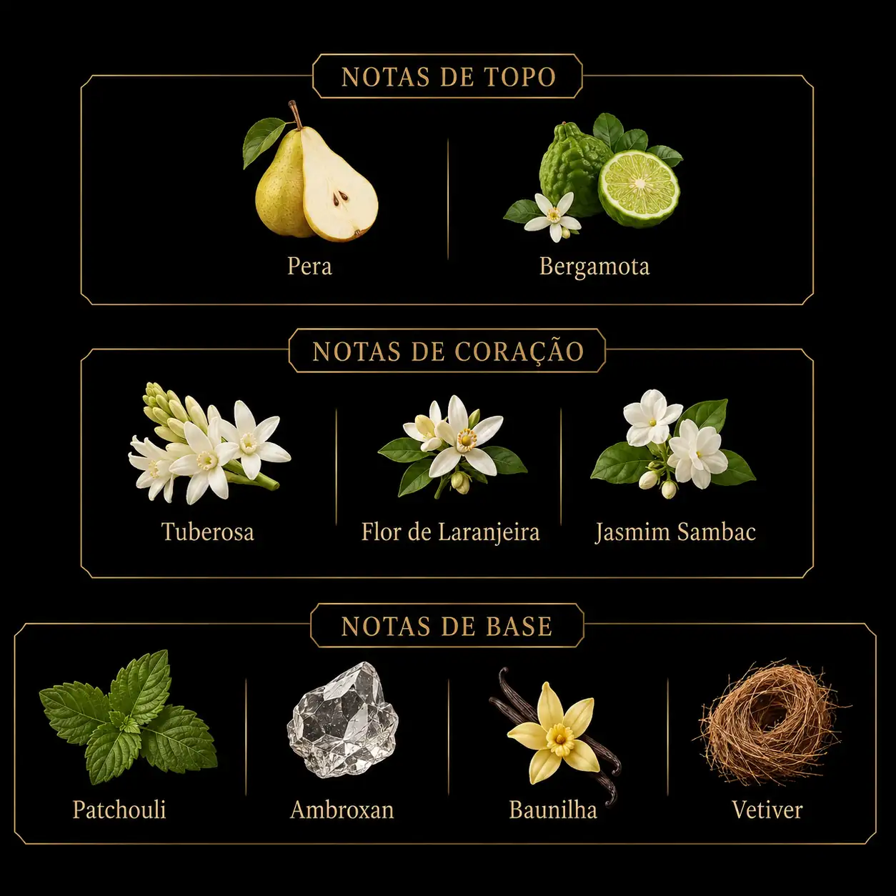 Notas olfativas de L'Intrude 100ml