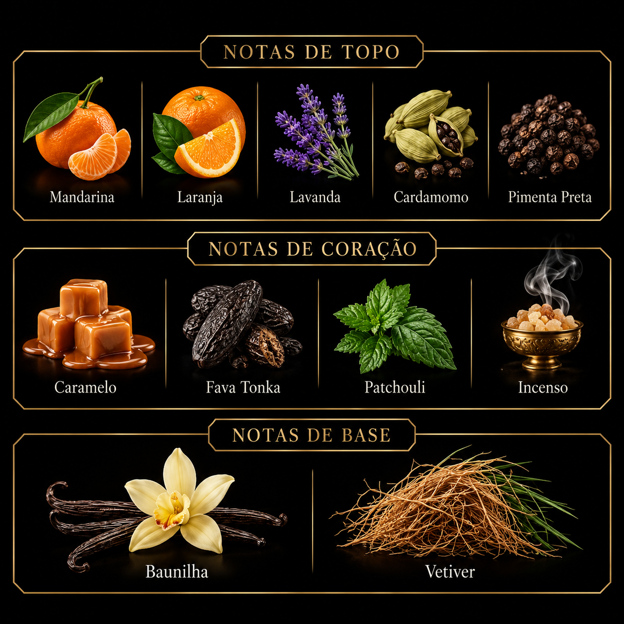Notas olfativas de Odyssey Mandarin Sky Elixir 100ml